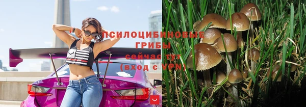 твердый Белокуриха