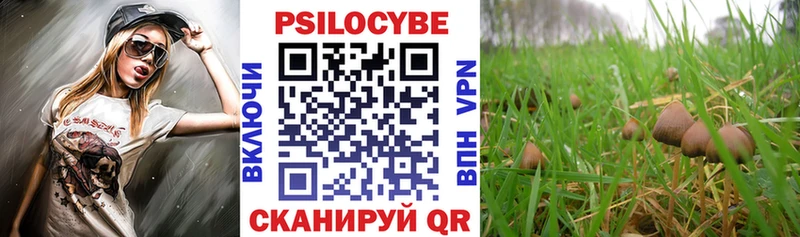 Псилоцибиновые грибы MAGIC MUSHROOMS  Гаджиево 